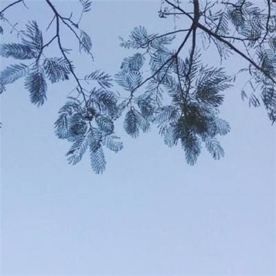连城剑客手机版下载